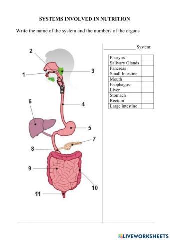 Nutrition function