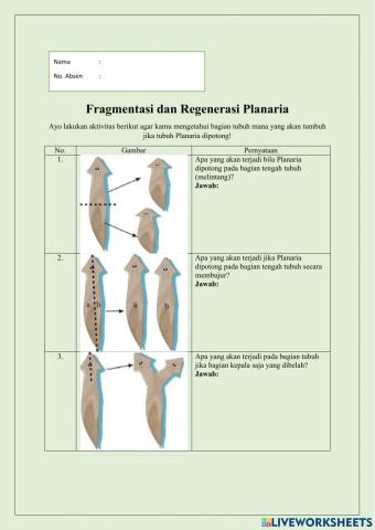 LKPD Fragmentasi dan Regenerasi Planaria