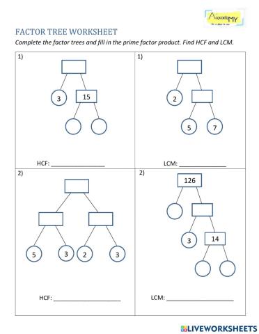 Prime Factorization B