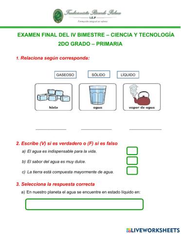 Examen bimestral