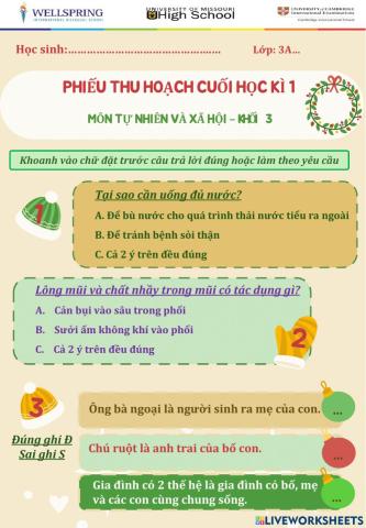 BAI THU HOACH CUOI KI 1 - 3a3