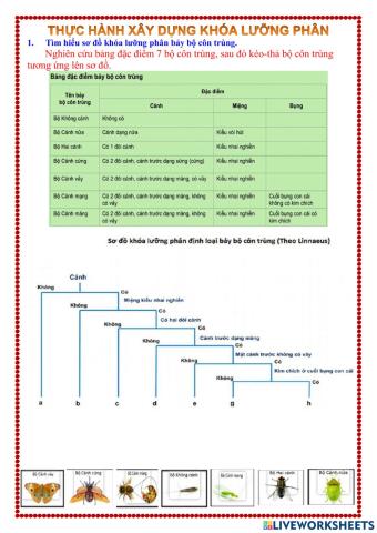 Thực hành xây dựng khóa lưỡng phân