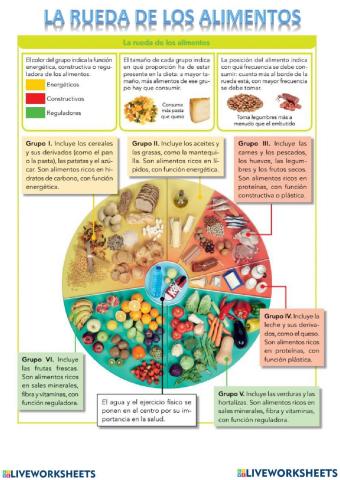 Los alimentos