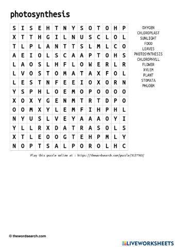 Photosynthesis wordsearch