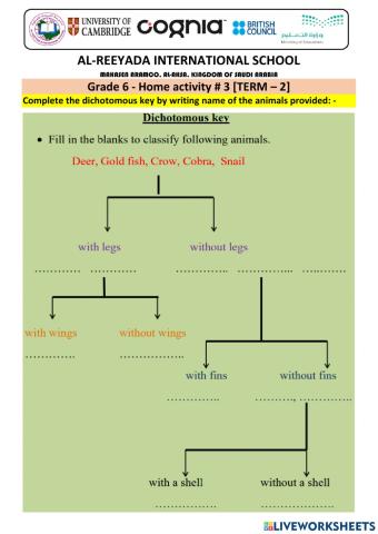 Dichotomous key