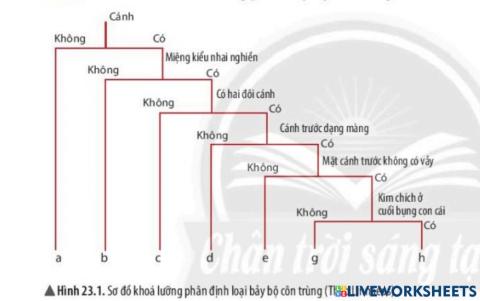 Thực hành khóa lưỡng phân