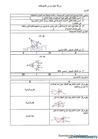 المصنفات في المثلث