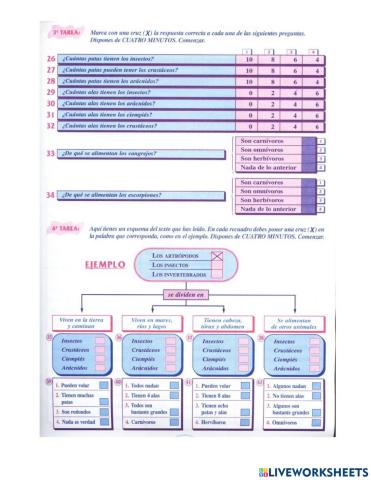 Compresion lectora 3 e5