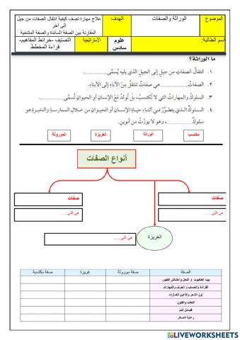 الوراثة والصفات