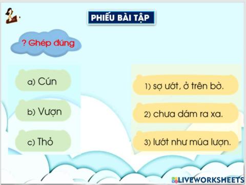 Phiếu bài tập