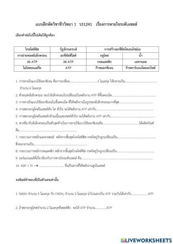 การหายใจระดับเซลล์