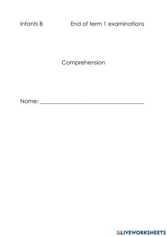 Comprehension Test