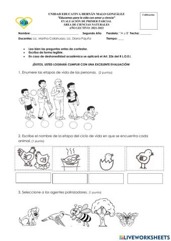 Evaluación de Ciencias Naturales