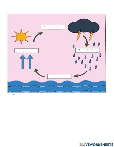 Water cycle