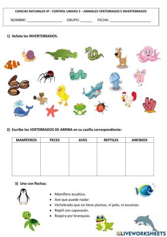 Vertebrados e invertebrados 4º ep