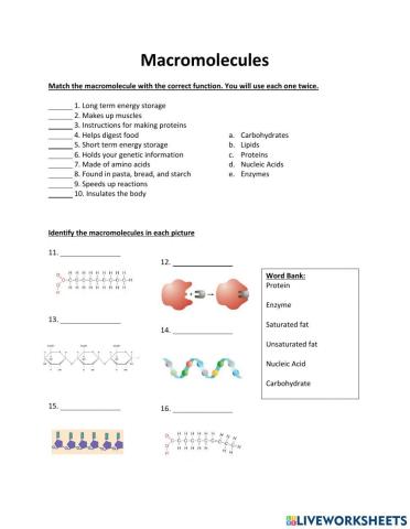 Macromolecules Review