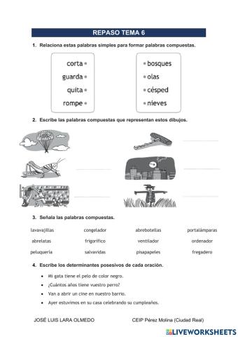 Repaso Tema 6