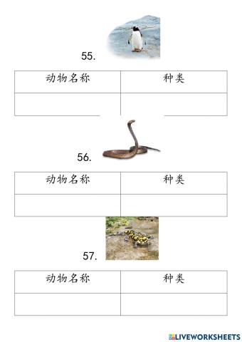 四年级科学 第三课动物3