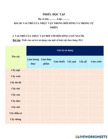 PHT bài 20: khtn6