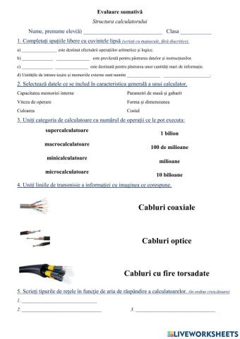 Structura calculatorului