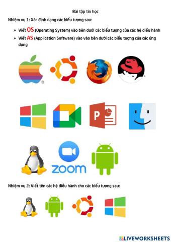 Operating System