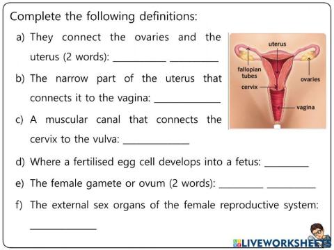 Reproduction Worksheets 6-11