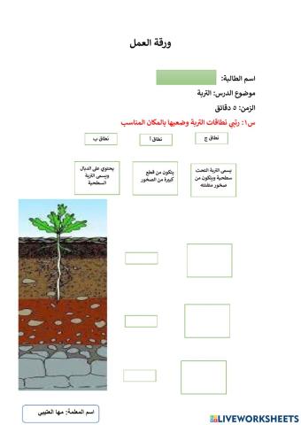 ورقة عمل مادة العلوم المعلمة مها