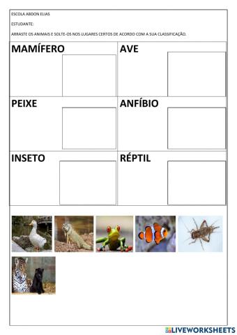 Classes dos animais