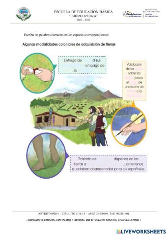 Modalidades coloniales de adquisición de tierras