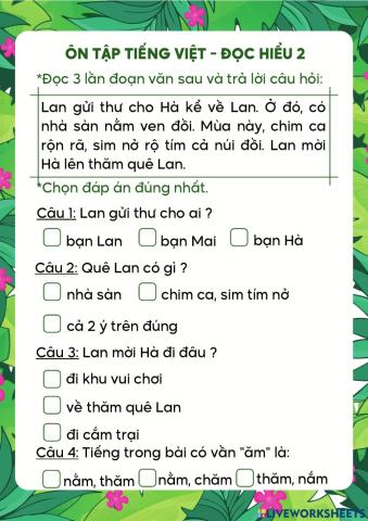 Phiếu đọc hiểu 2