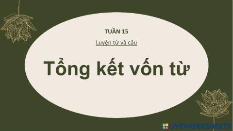 Tổng kết vốn từ