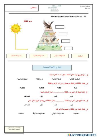 السلاسل والشبكات الغذائية-4