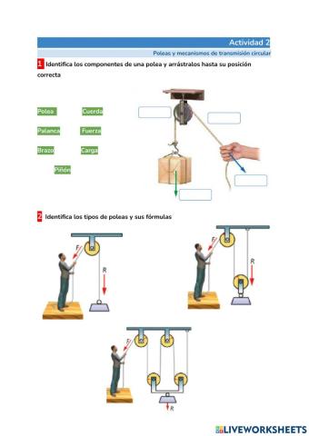 Poleas y engranajes