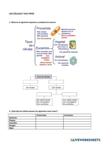 La célula y sus tipos