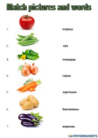 Russian Vocabulary