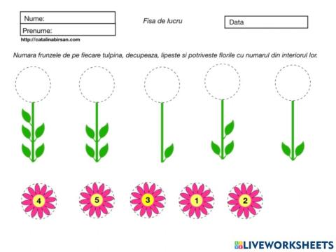 Fisă matematică