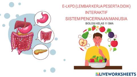 Sistem pencernaan makanan