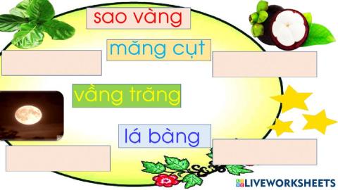 Tương tác