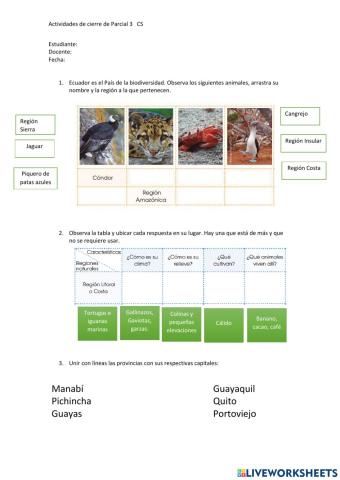 Actividad de cierre de parcial - Adaptación