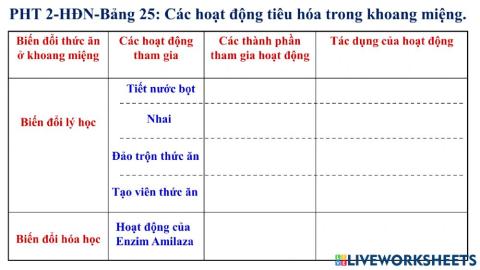 HĐN - Điền khuyết