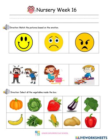 Nursery Summative Assessment Week 16