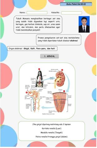 LKPD Ginjal 1