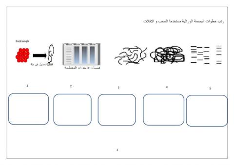 البصمة الوراثية 2