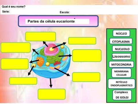 Atividade 1: Citologia