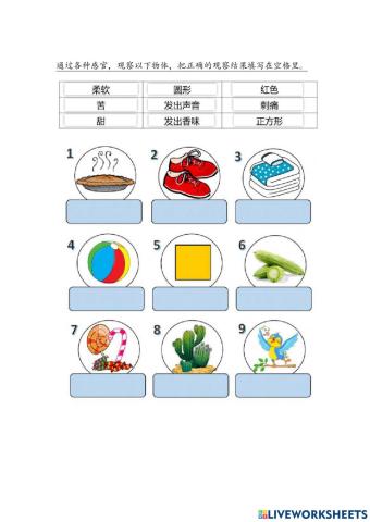 三年级科学程序技能