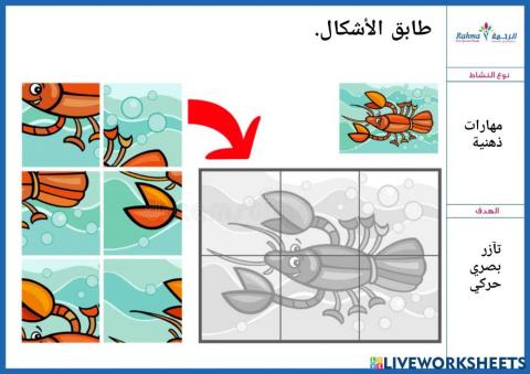 مهارات