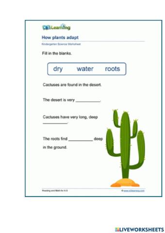 How plants adapt where they live