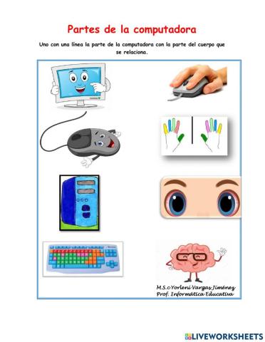 Partes de la Computadora