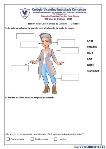 Atividades Diagnósticas - 5º ano EF