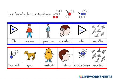 Identificar els determinants demostratius i possessius.